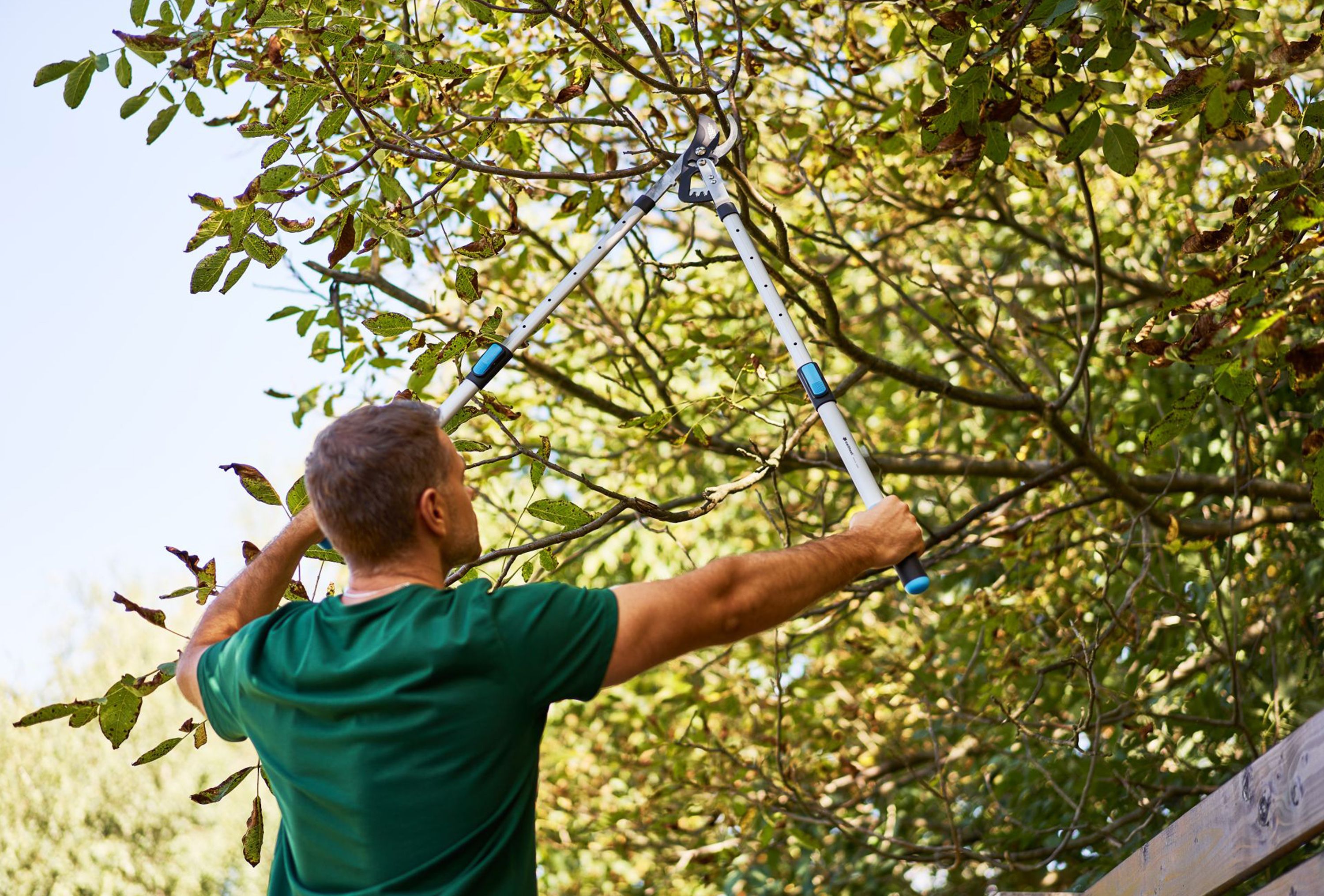 Wrzesień w przydomowym ogrodzie – poznaj listę prac, które warto wykonać