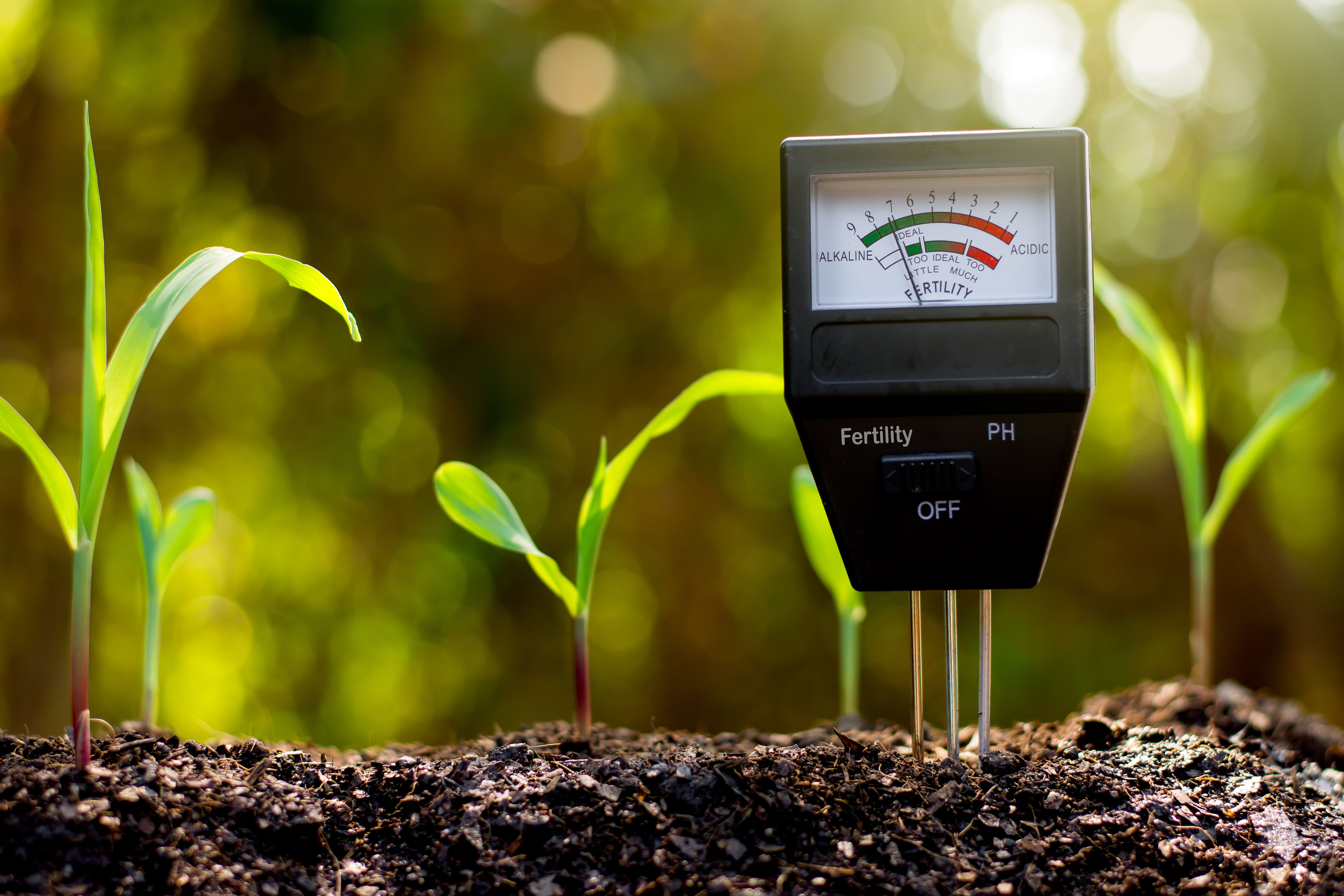 Jak mierzyć i regulować pH gleby w ogrodzie? Poznaj przydatne akcesoria!
