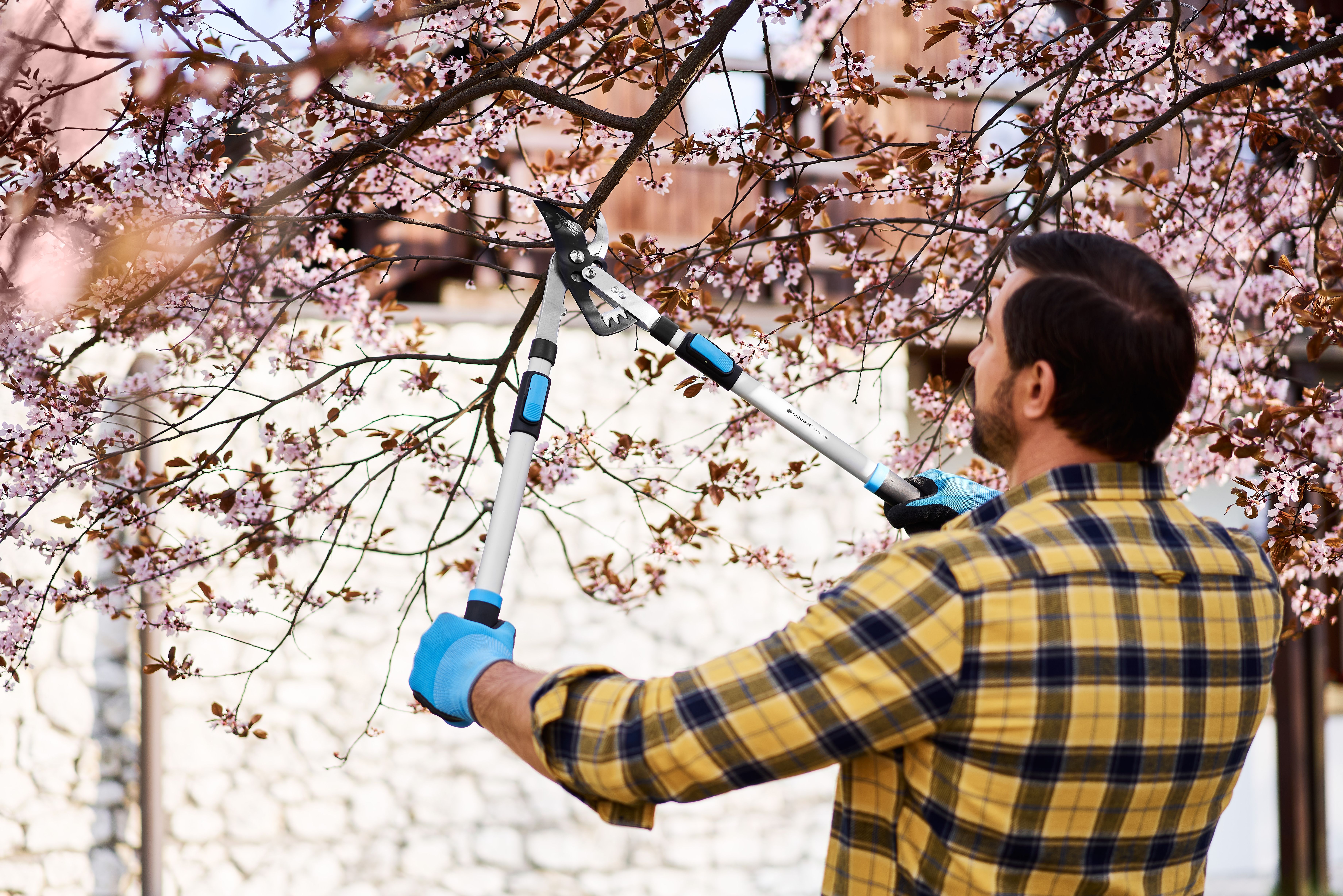 Wiosenne przycinanie ozdobnych krzewów – poznaj praktyczne wskazówki